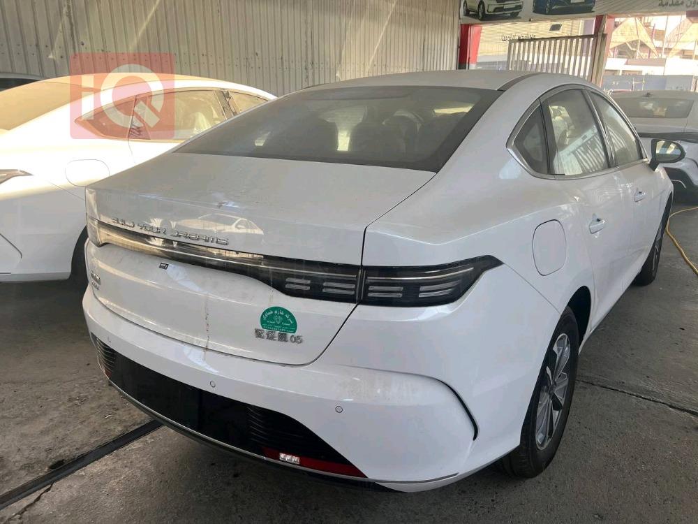 بی وای دی دیسترۆیەر 05